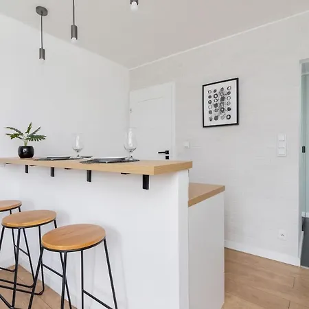 Pet-friendly Cosy Studio Skarbinskiego By Renters Daire Krakow