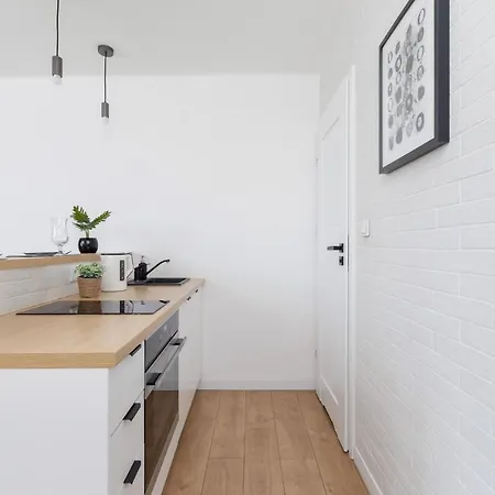 Pet-friendly Cosy Studio Skarbinskiego By Renters